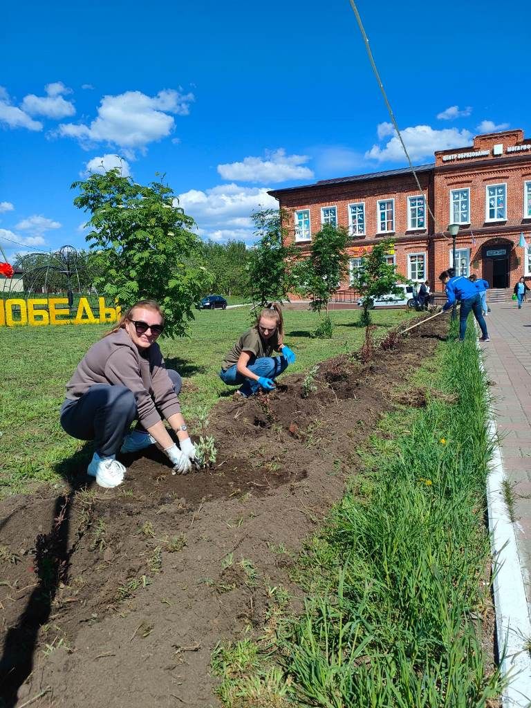 Сотрудники Управления образования Лаишевского района высадили 70 саженцев