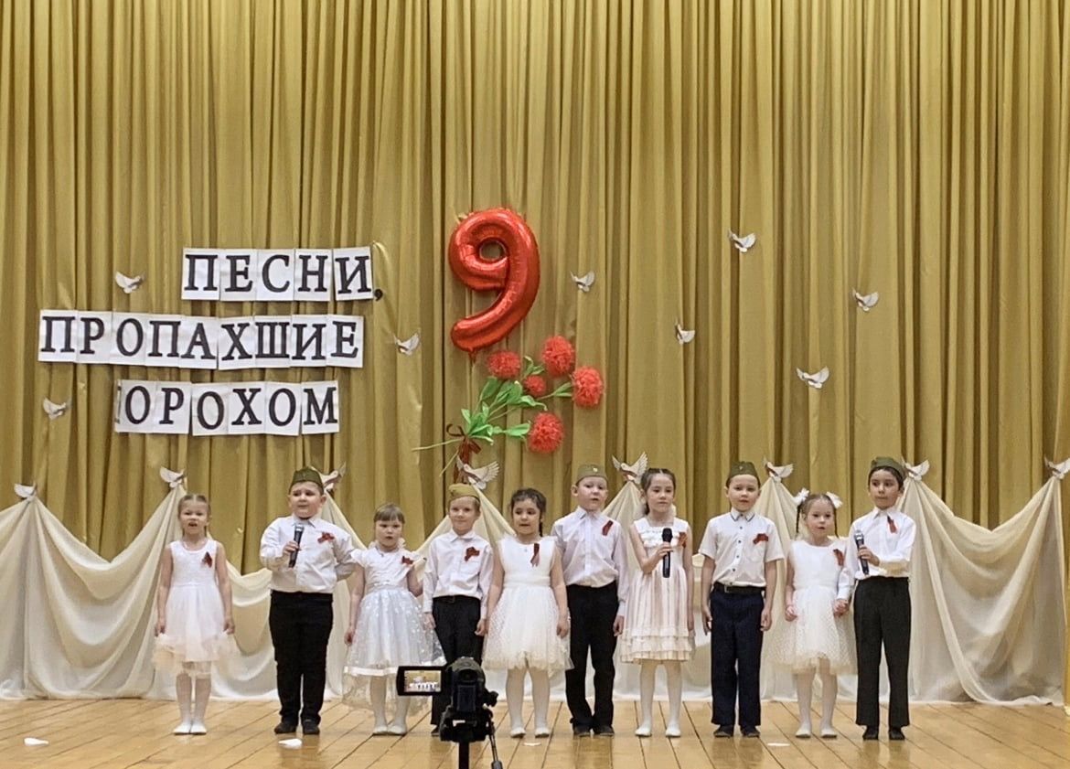 Районный патриотический фестиваль прошел в сельском доме культуры в Сокурах