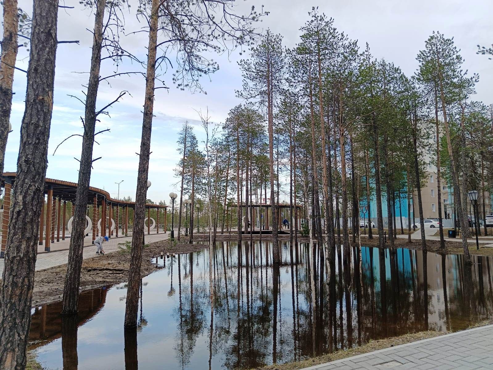 Релаксация. Парк, озеро, пение птиц