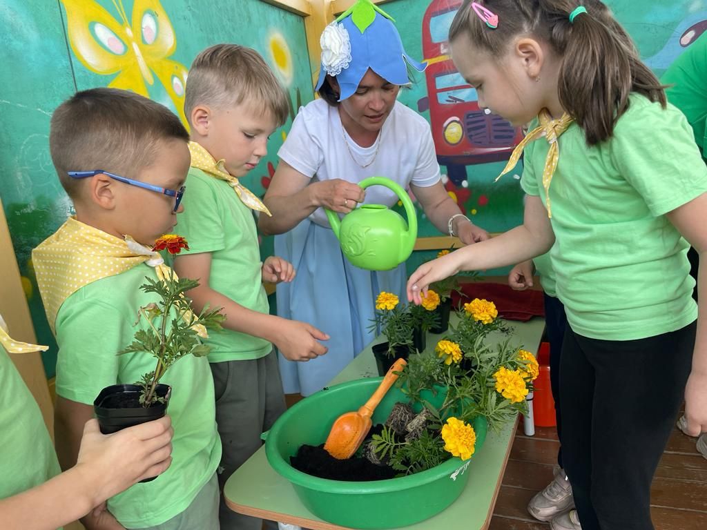 В детском саду «Ромашка» прошел первый районный экологический фестиваль «Эколята-дошколята»