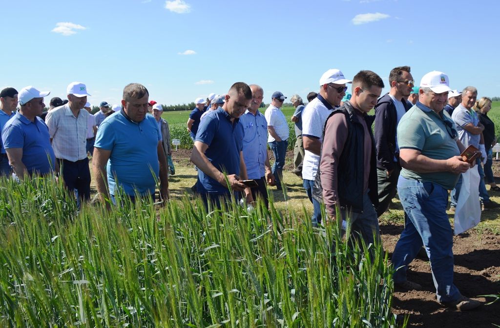 Лаишевский район посетил заместитель министра сельского хозяйства и продовольствия РТ Дмитрий Яшин