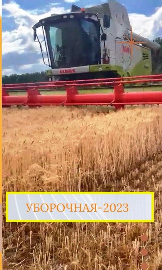 В Лаишевском районе началась уборочная страда