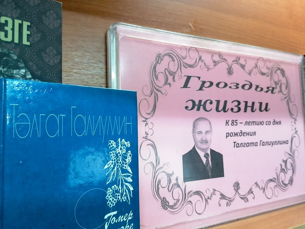 В Лаишевской центральной библиотеке подготовлена новая книжная выставка «Гроздья жизни»