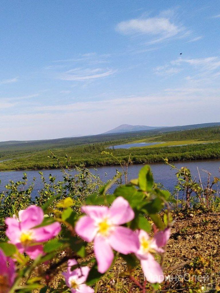О красоте северной природы рассказывают фотографии Марины Олейниковой. Онлайн-фотогалерея «Яркий мир»