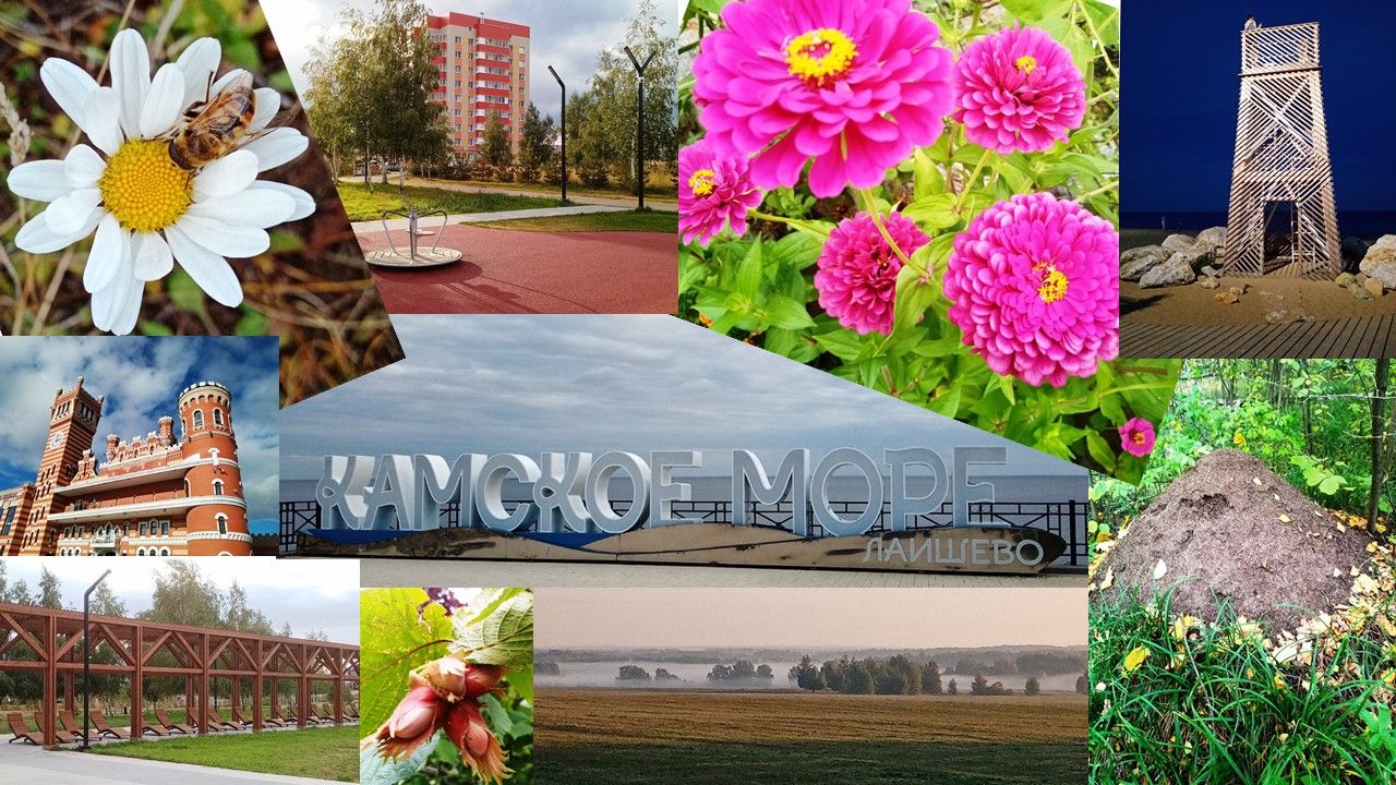 Сегодня — Всемирный день фотографии