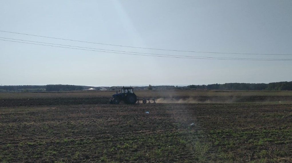 В Лаишевском районе идет вспашка зяби