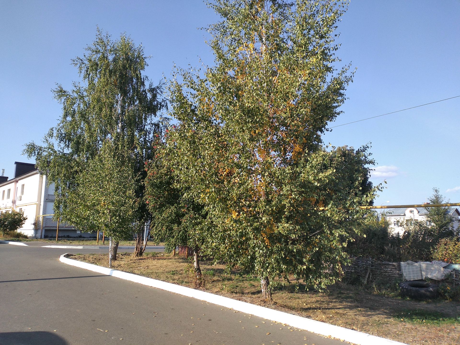 Оперативный прогноз погоды в Лаишевском районе на 18 сентября 2023 год