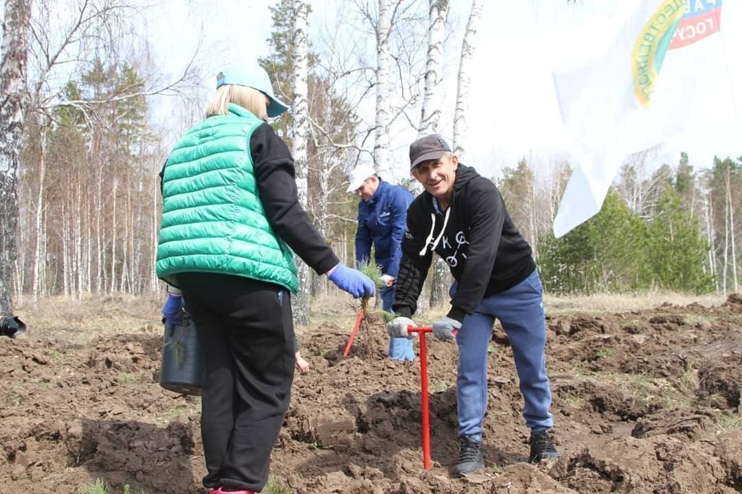 Глава Лаишевского района поздравил работников лесного хозяйства