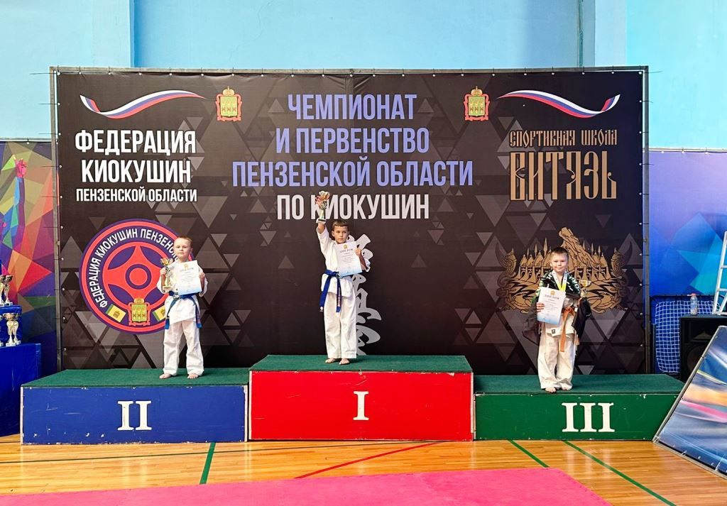 В Пензенской области лаишевские спортсмены завоевали пять медалей на соревнованиях по киокушин
