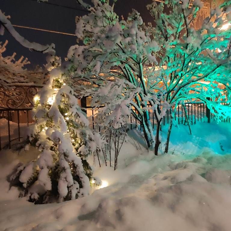 Новогодняя снежная фантазия показана в фотоработах Владимира Андреева