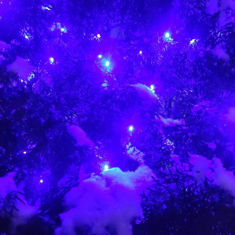 Новогодняя снежная фантазия показана в фотоработах Владимира Андреева