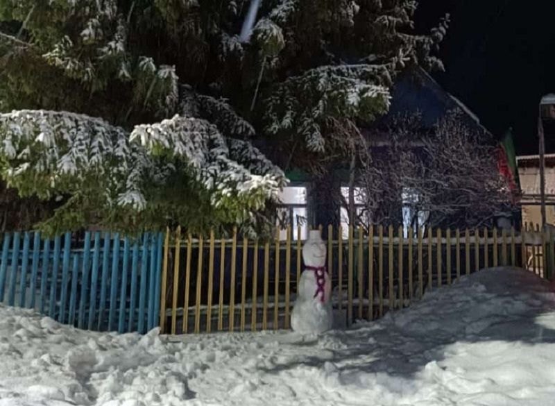 Жители Лаишевского района создают новогоднее настроение окружающим