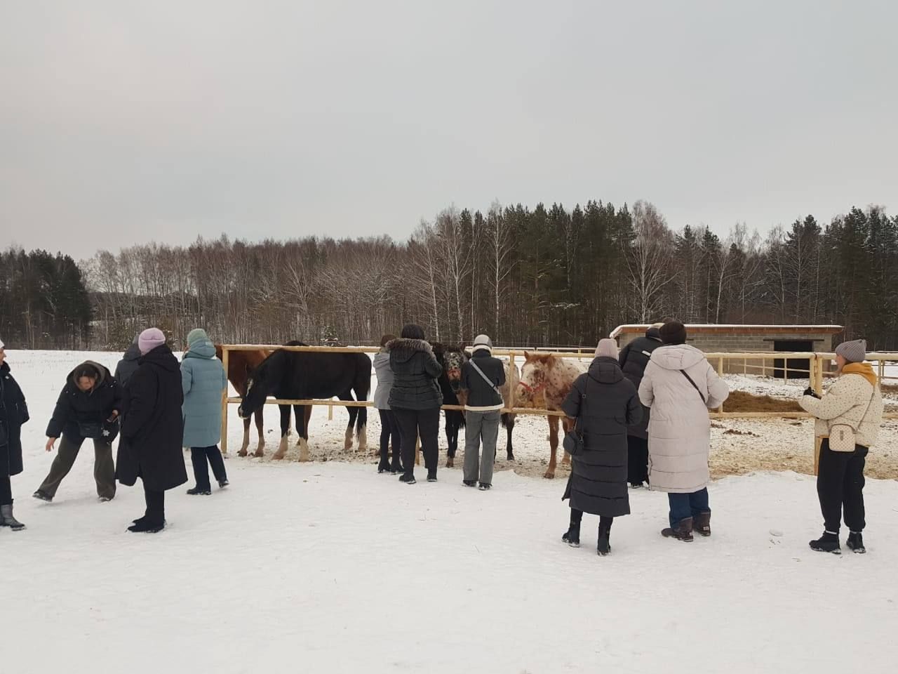 Не только дети весело проводят новогодние праздники, приезжая отдыхать в Лаишево