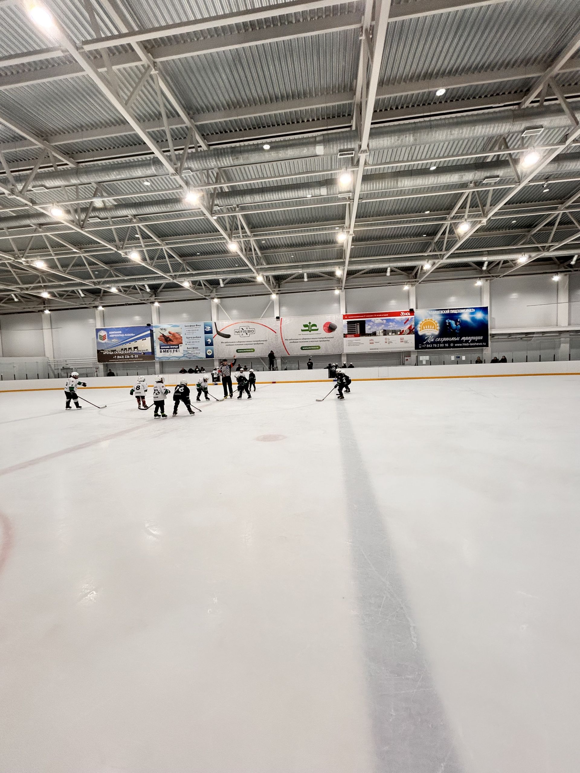 В  Лаишево стартовал хоккейный турнир под названием «Ястреб CUP»!