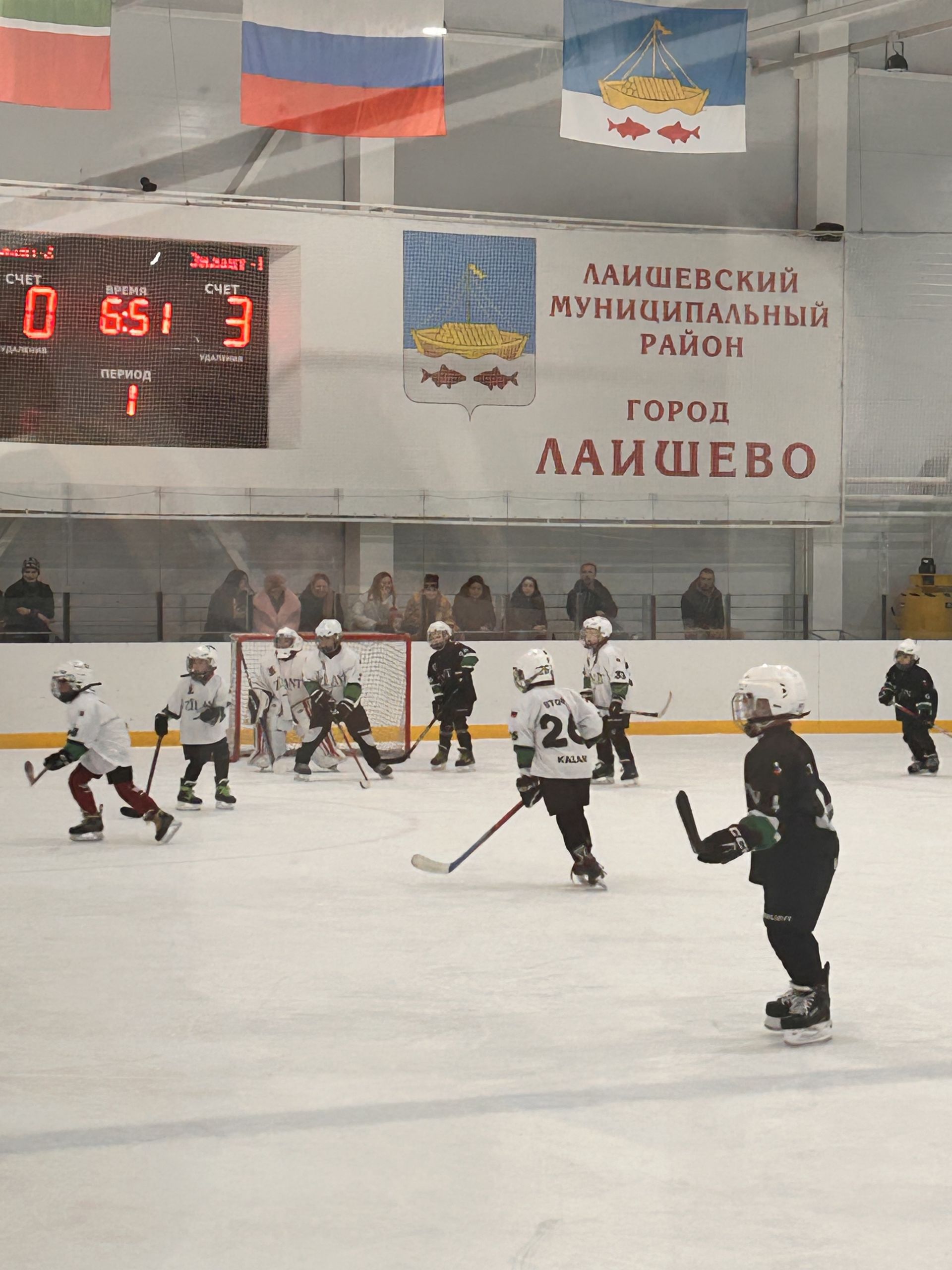 В  Лаишево стартовал хоккейный турнир под названием «Ястреб CUP»!