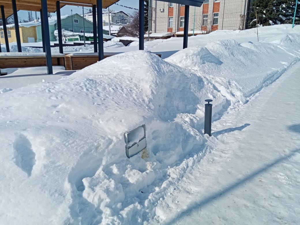 В последний день зимы в Лаишево появились подснежники
