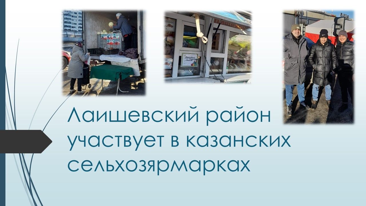 Лаишевский район участвует в казанских сельхозярмарках