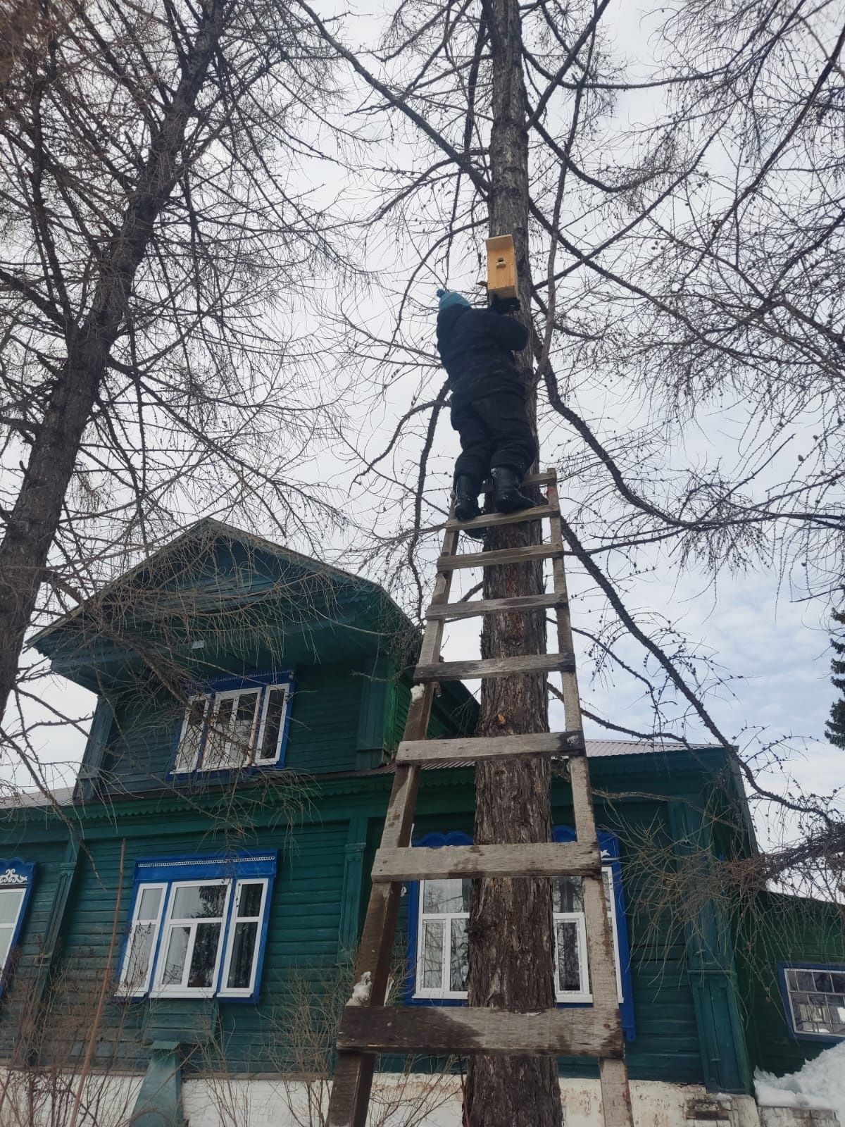 Сотрудники Лаишевского лесничества перед прилетом птиц повесили скворечники