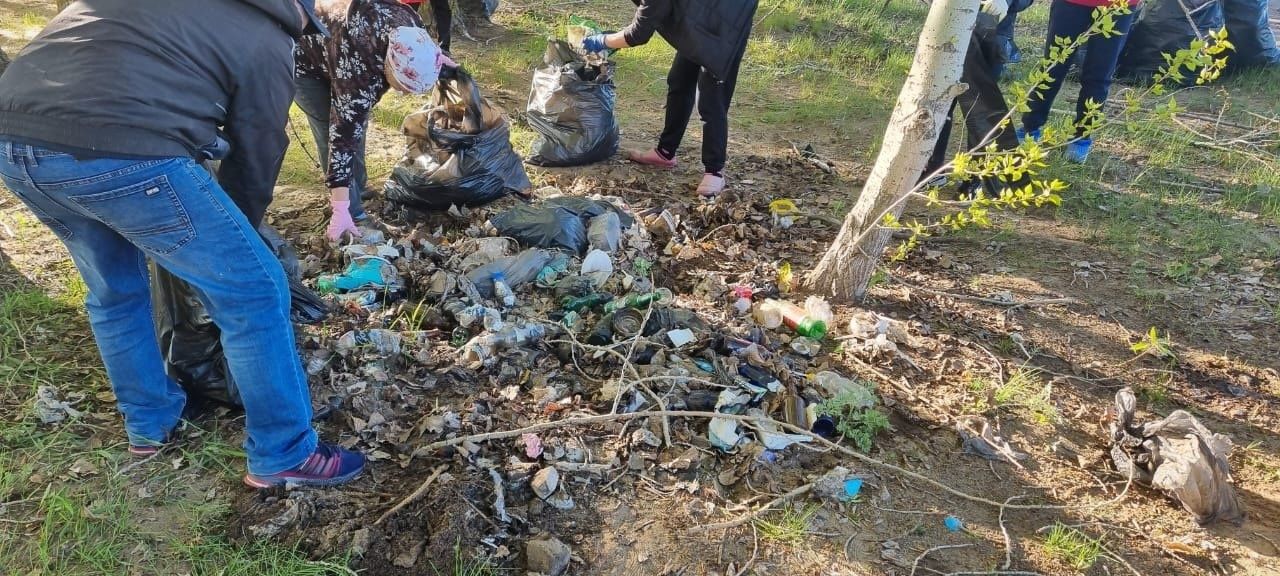 Жители Лаишевского района своими силами очистили зону отдыха