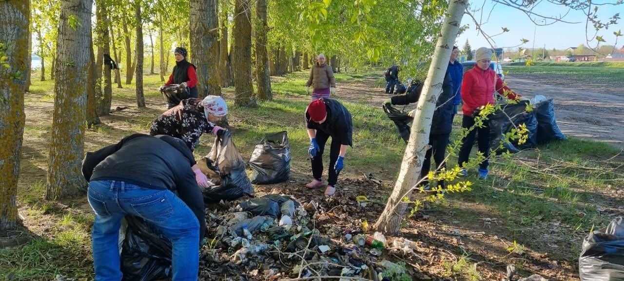 Жители Лаишевского района своими силами очистили зону отдыха