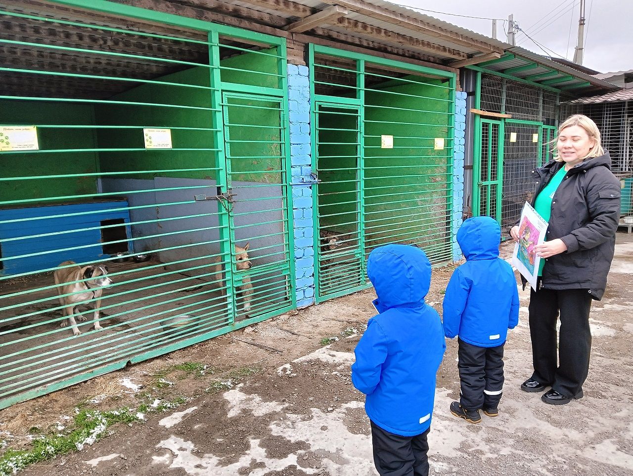 Дети Лаишевского района оказывают помощь для животных