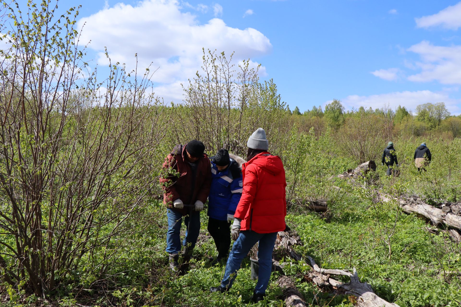 В Лаишевском районе проходит международная акция «Сад памяти»