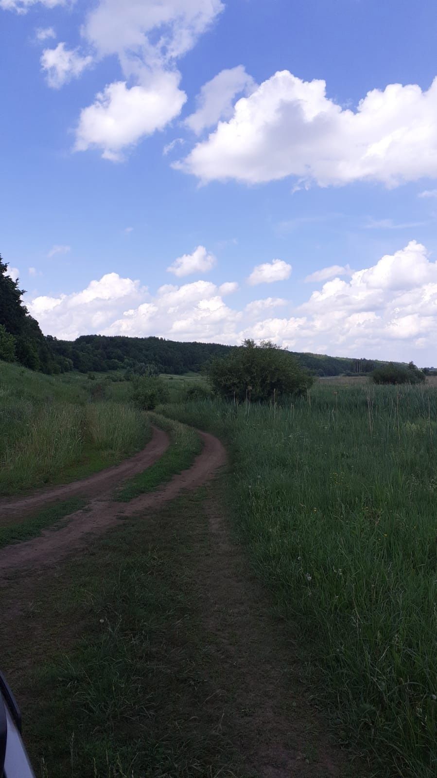 В лесах Лаишевского района ведется патрулирование