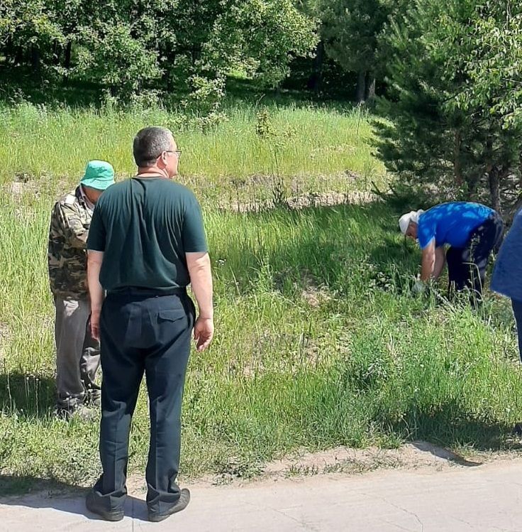 В лесах Лаишевского района ведется патрулирование