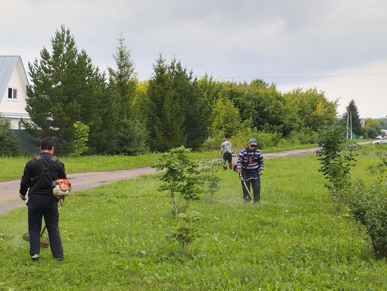 В Лаишевском районе продолжается обкос растительности