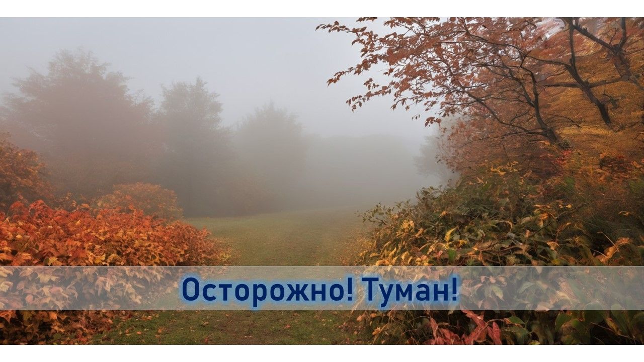 День холодный, пасмурный, туманный