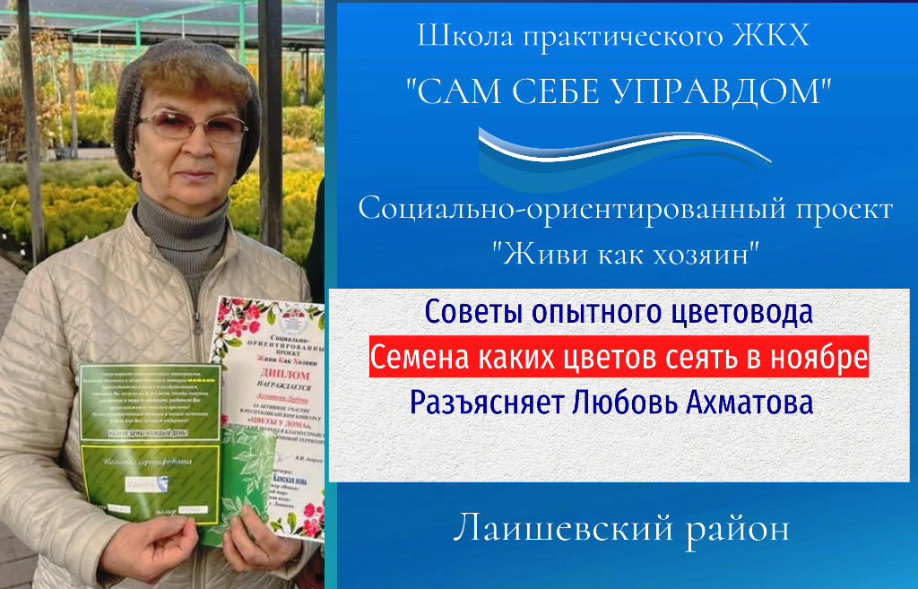 Советы от цветовода: Однолетники засыпают в ноябре, чтобы первыми проснуться весной