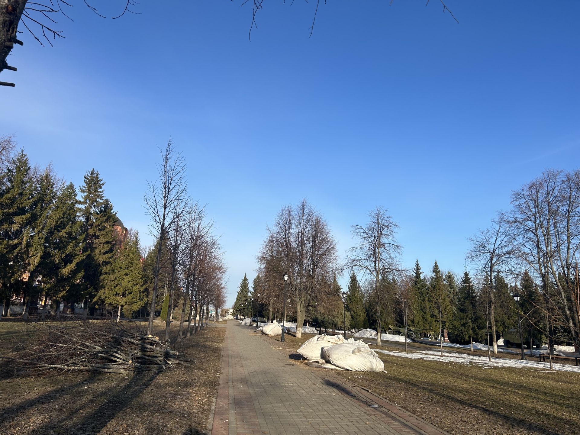 В Лаишевском парке Победы провели санитарный спил веток