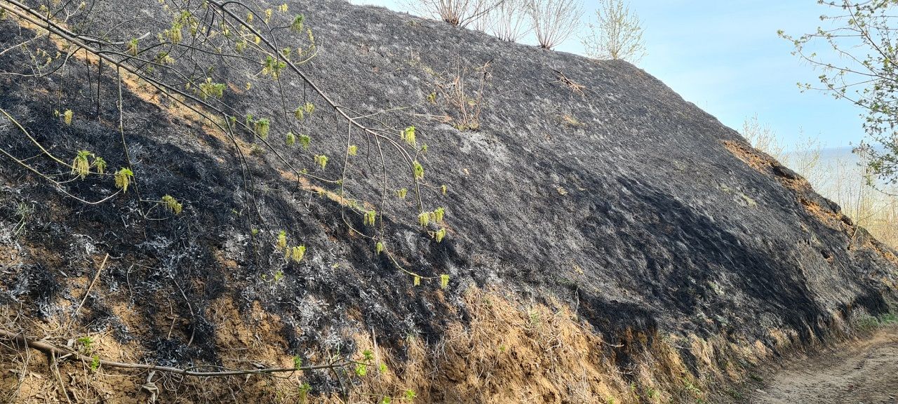 В Лаишевском районе сохраняется высокая пожарная опасность в лесах