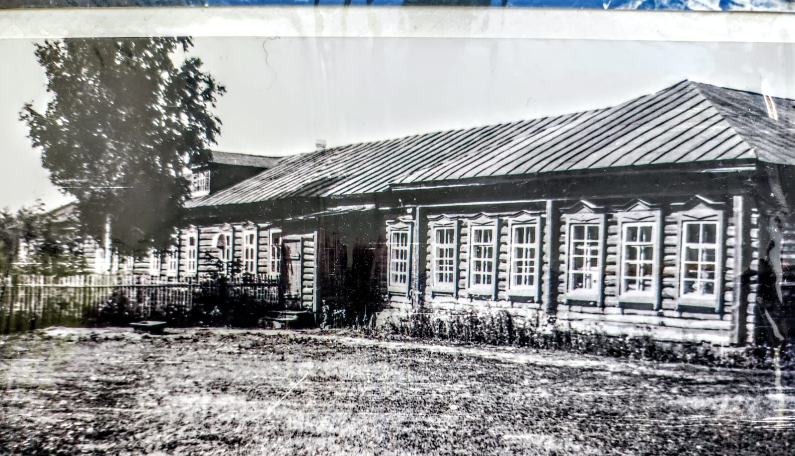 Взгляд читателя: участие школ в конкурсе «Цветы у дома»