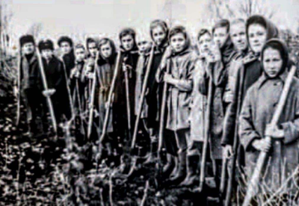 Взгляд читателя: участие школ в конкурсе «Цветы у дома»