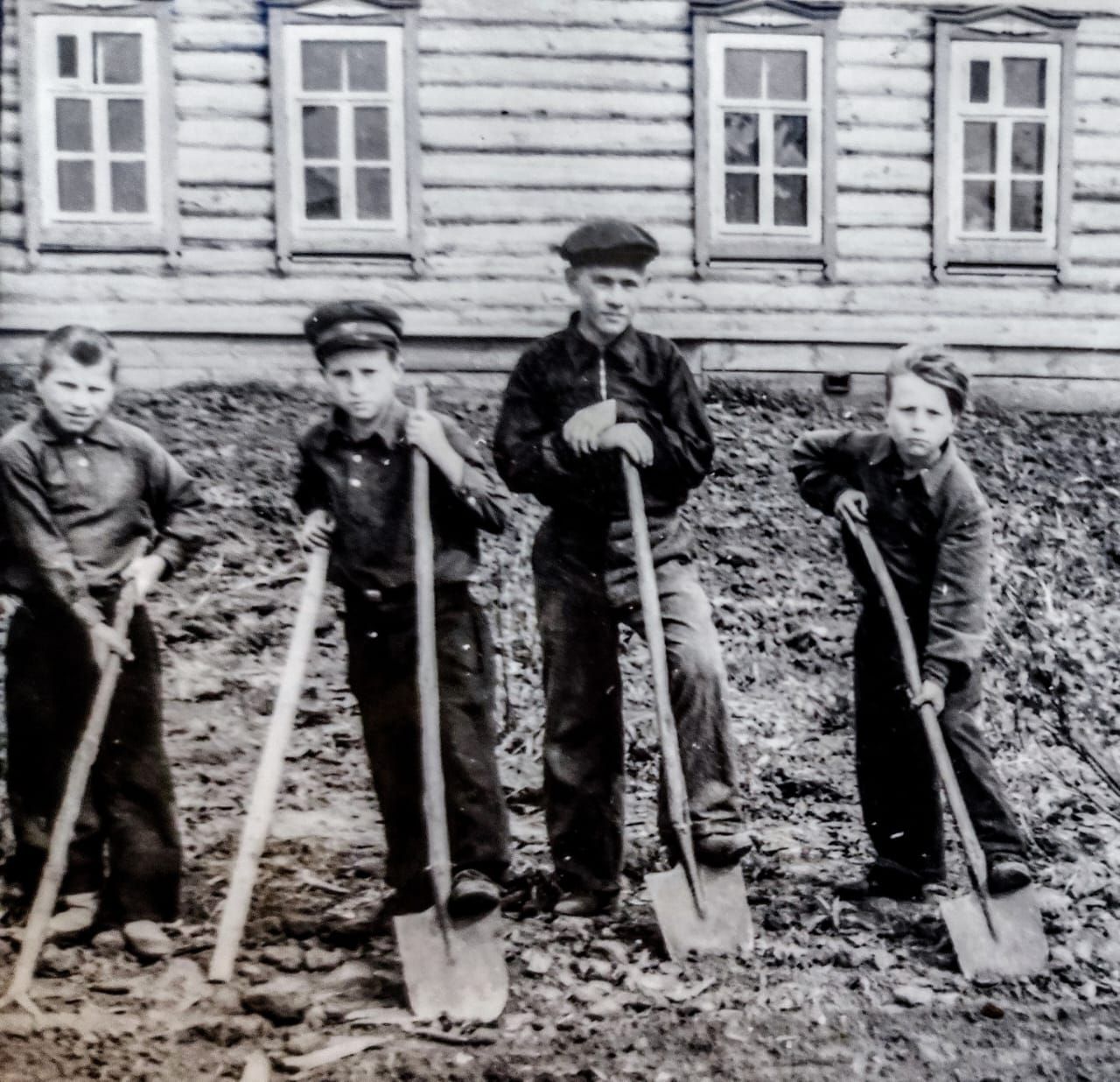 Взгляд читателя: участие школ в конкурсе «Цветы у дома»