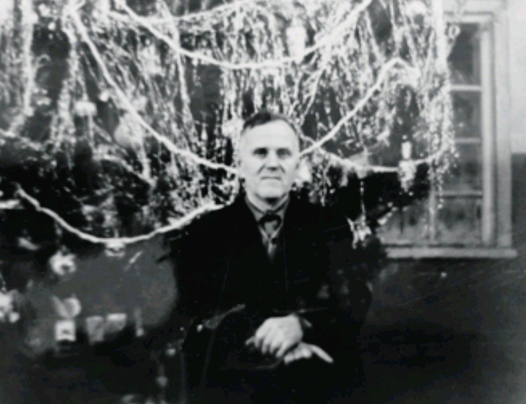 Взгляд читателя: участие школ в конкурсе «Цветы у дома»