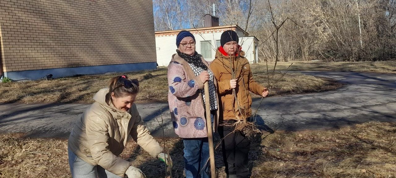 В Лаишевском районе провели акцию «80 саженцев Победы»