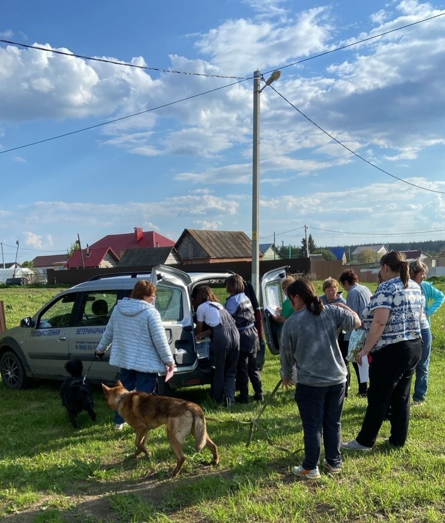 В селе Каипы Лаишевского района прошла ветеринарная акция