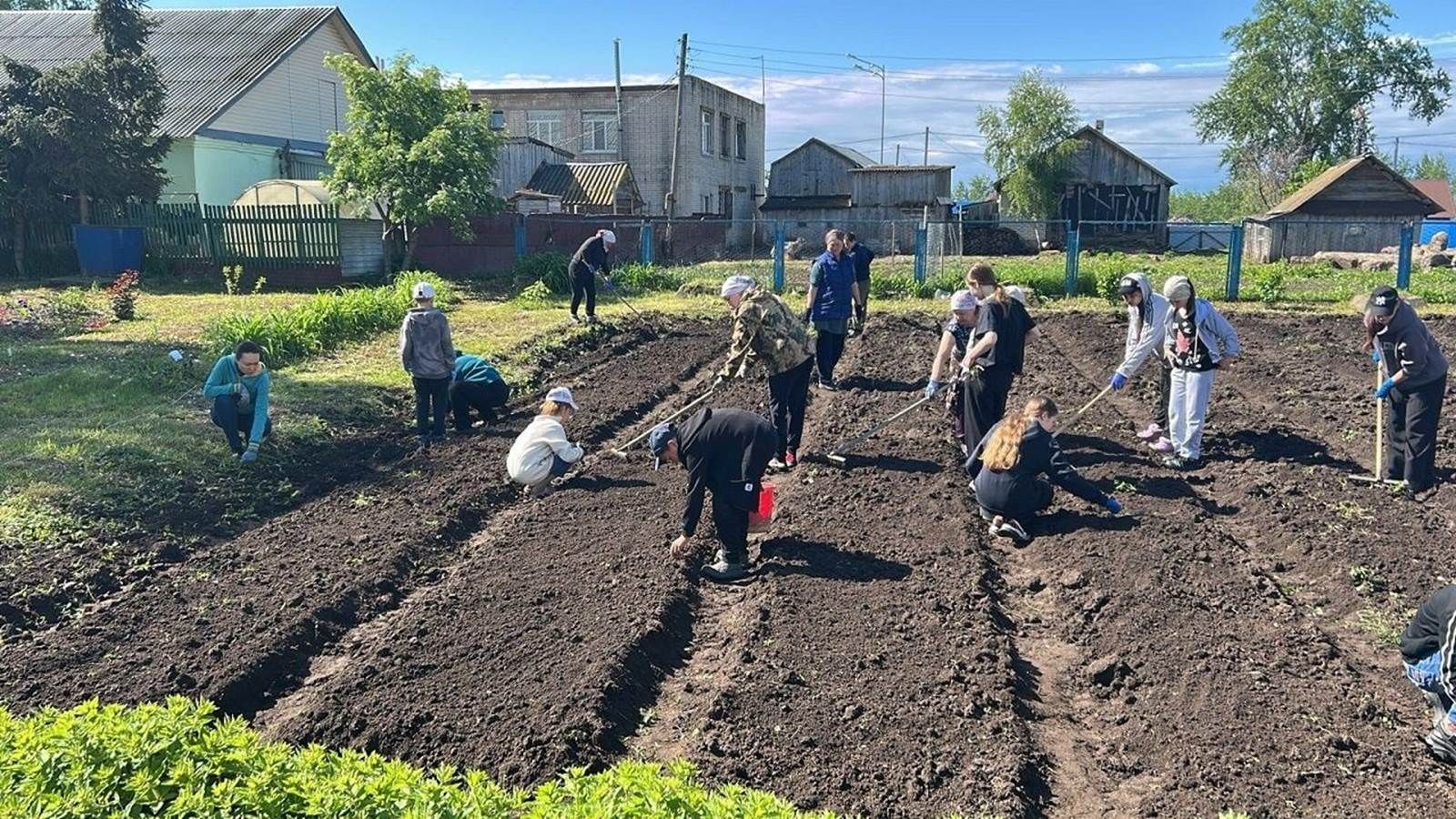 Лаеш районы укучылары каникулларда мәктәп яны бакчасында эшлиләр