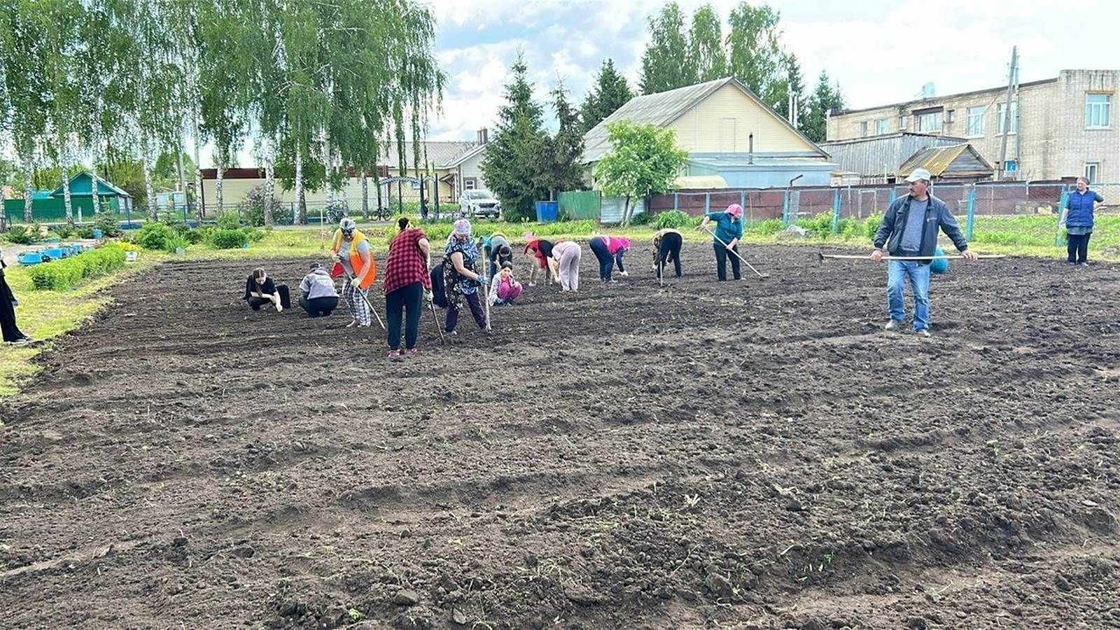 Лаеш районы укучылары каникулларда мәктәп яны бакчасында эшлиләр