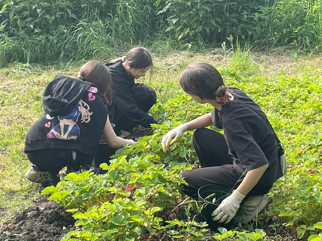 Учащиеся Лаишевского района в каникулы узнают о правильном питании