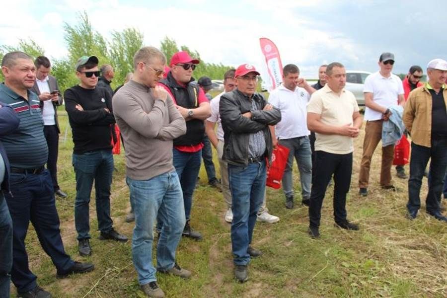 Лаеш районында көзге рапс буенча семинар узды