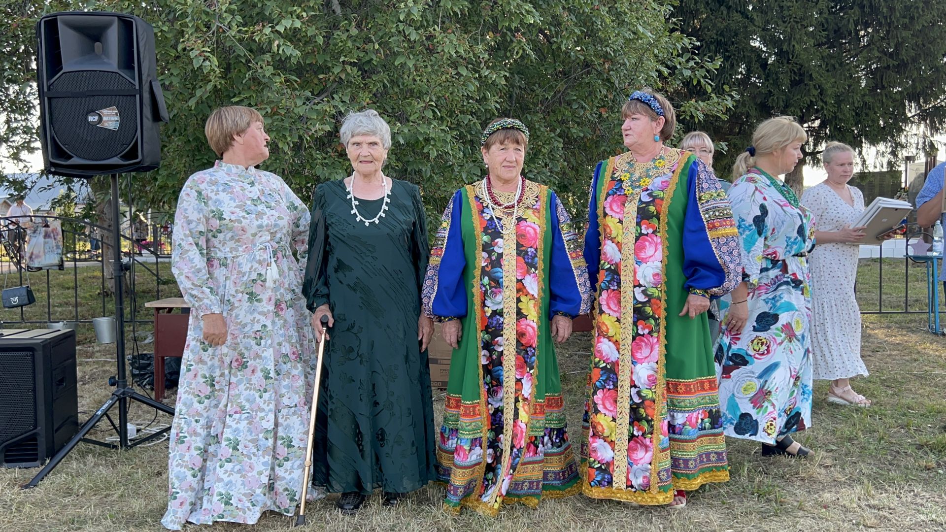 В Чирпах прошёл День села