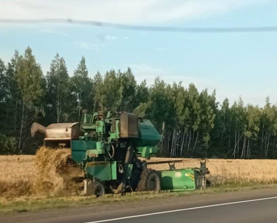 Лаеш районының алдынгы хуҗалыгында урып-җыю ничек бара