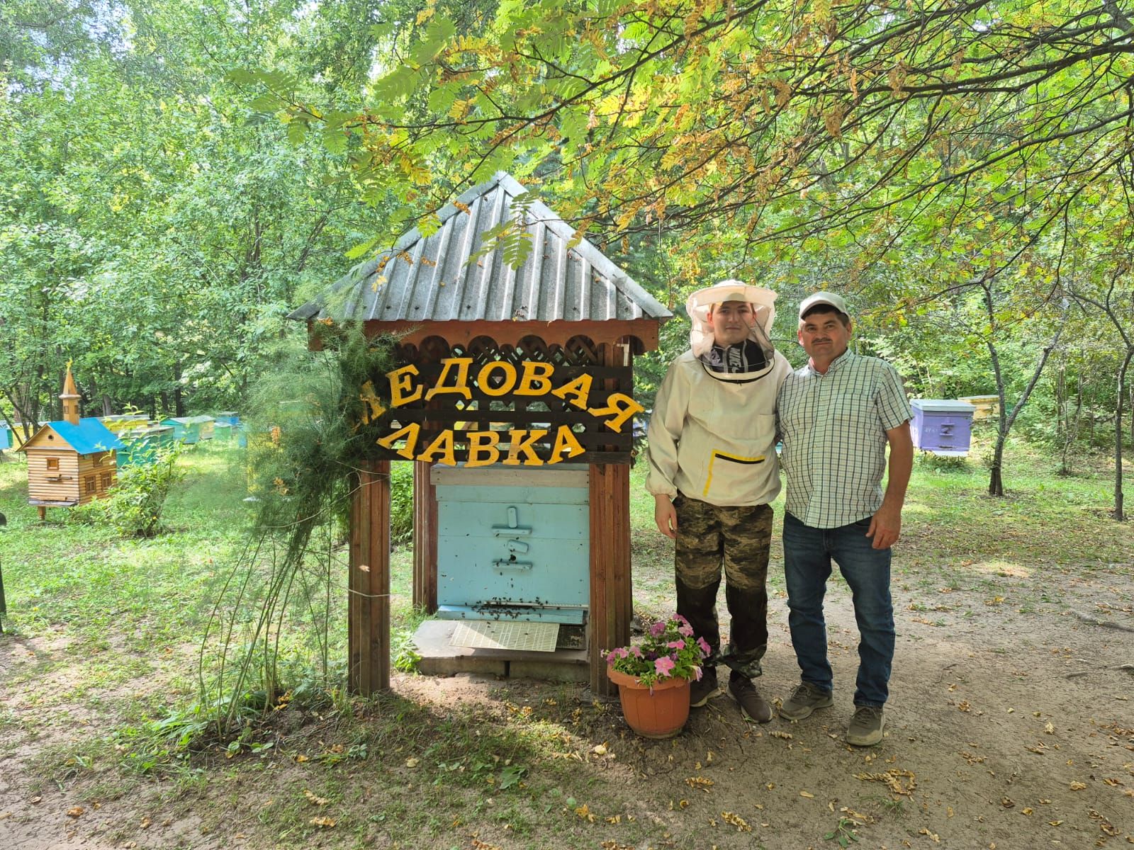 В августе так вкусно пахнет медом — едем к пчеловодам