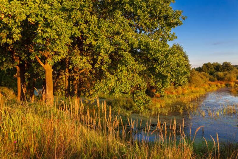 Переплетение времен года в поэзии