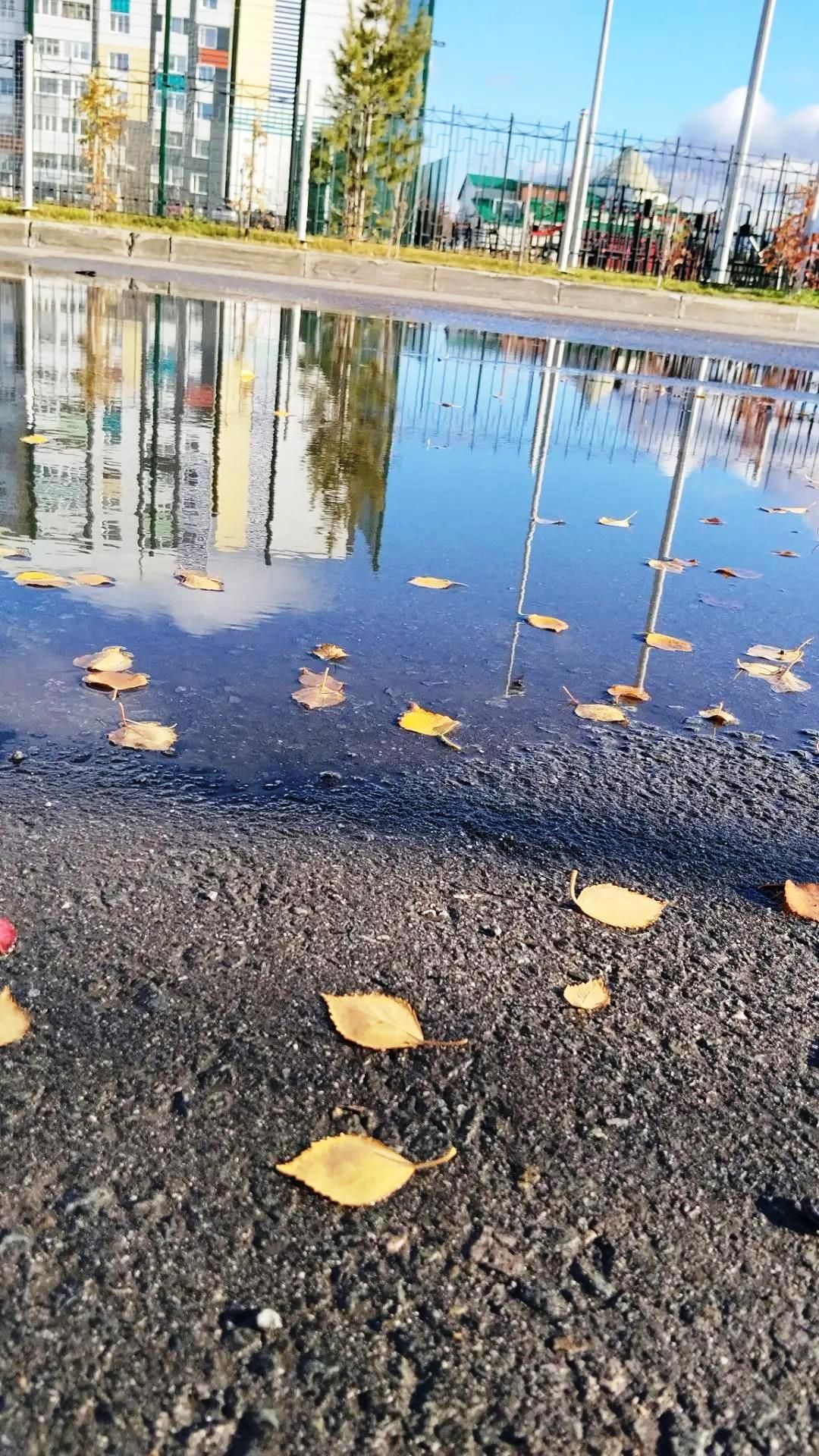 «Краски осени»: покажите, как выглядит октябрь в вашем объективе