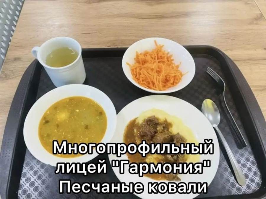 Лаеш районында мәктәп туклануын тикшерделәр