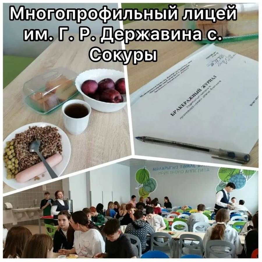 Лаеш районында мәктәп туклануын тикшерделәр